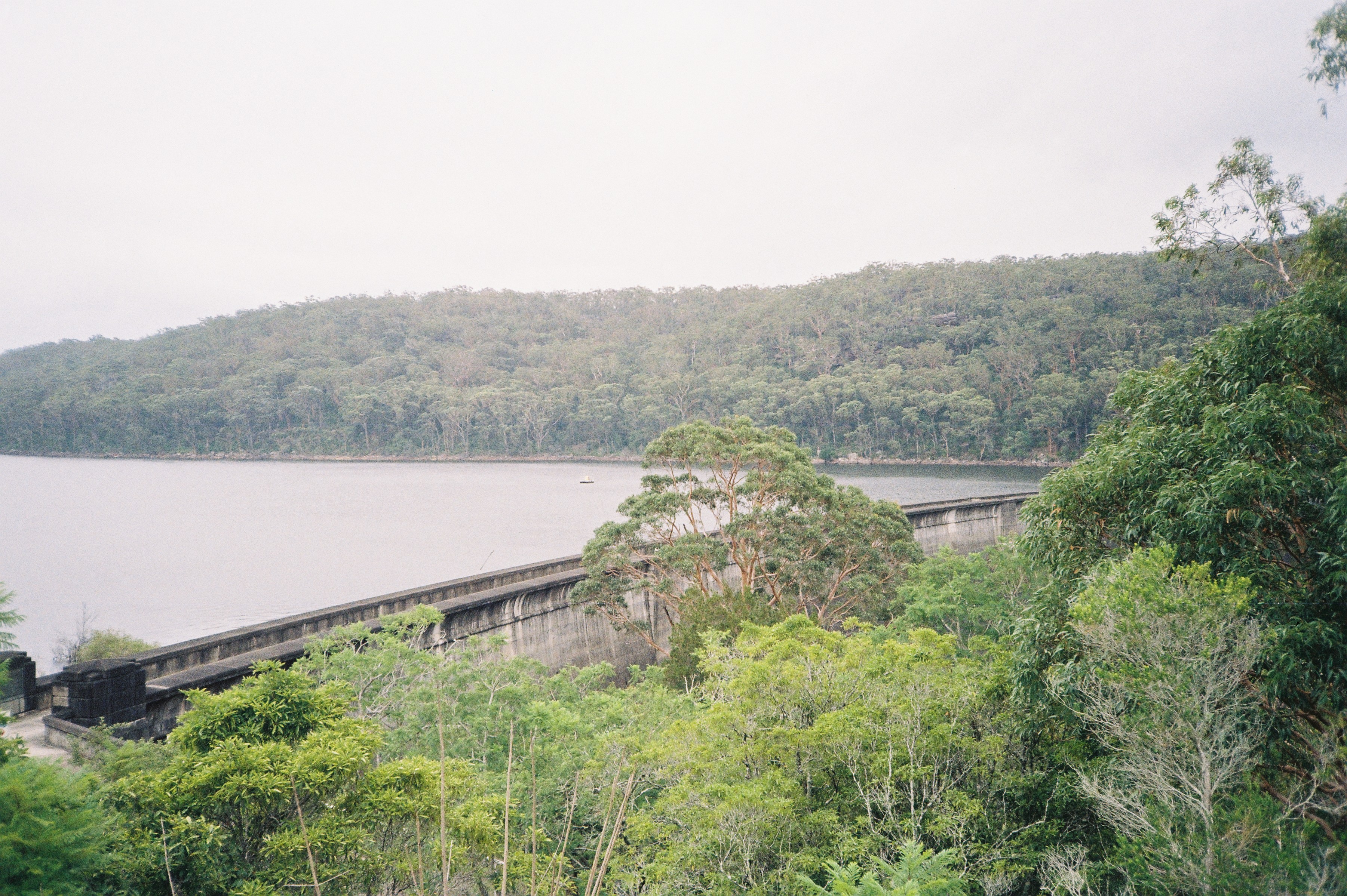 Film 000005