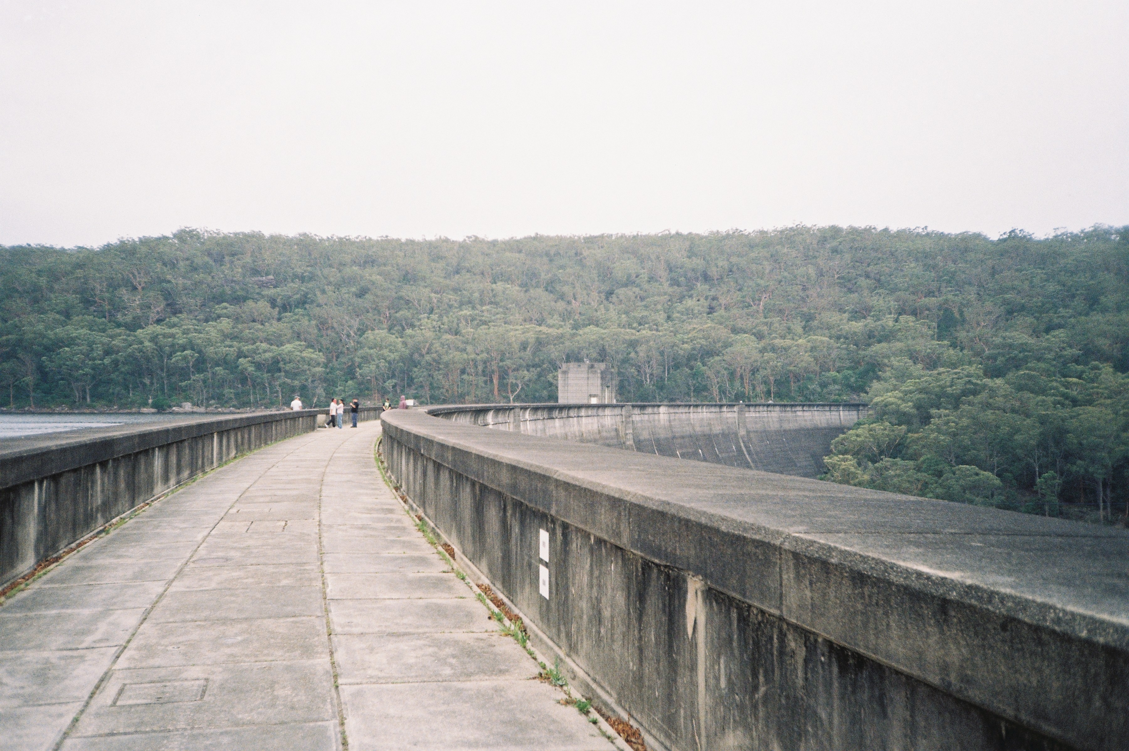 Film 000008