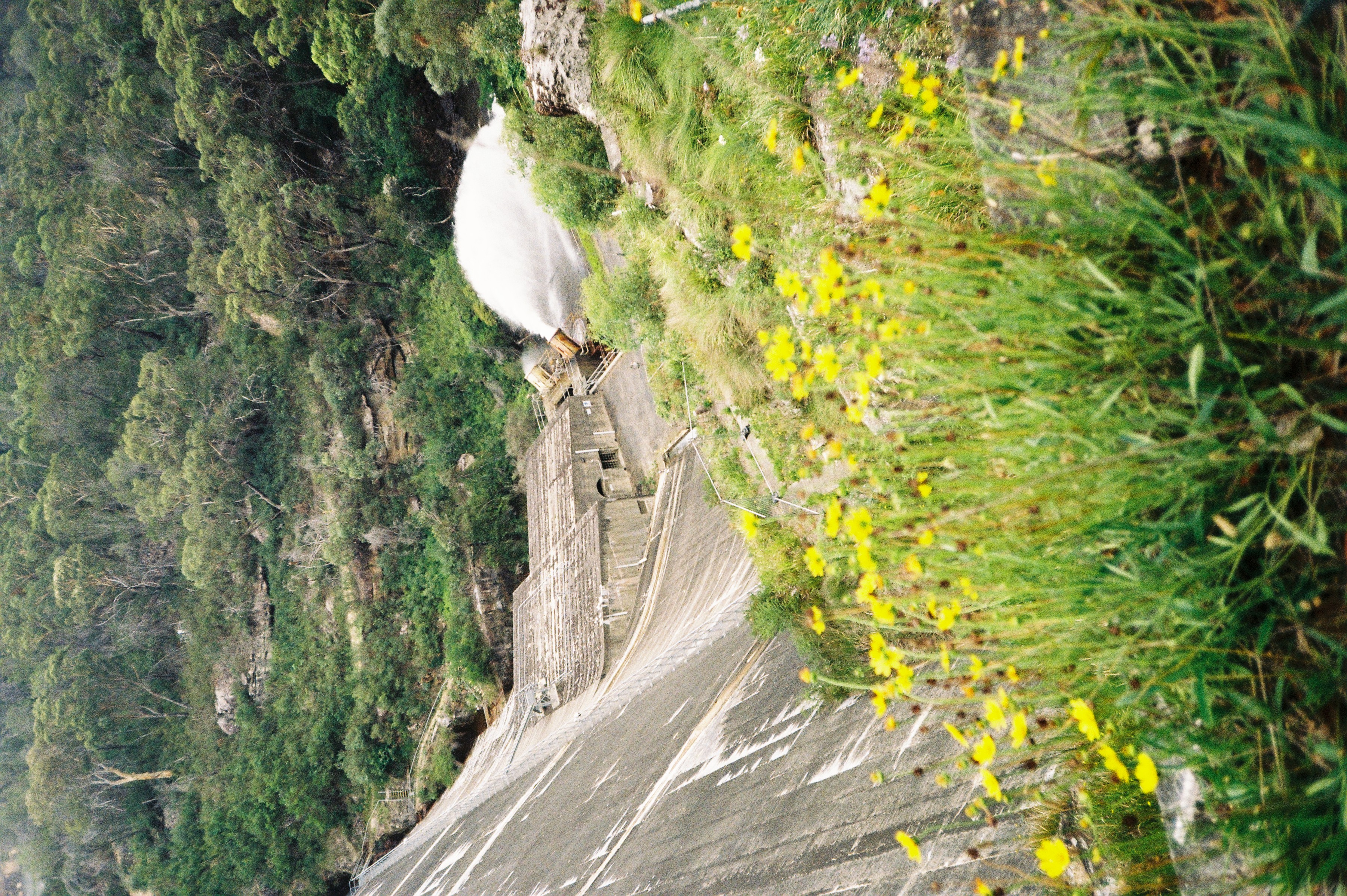 Film 000015 (1)