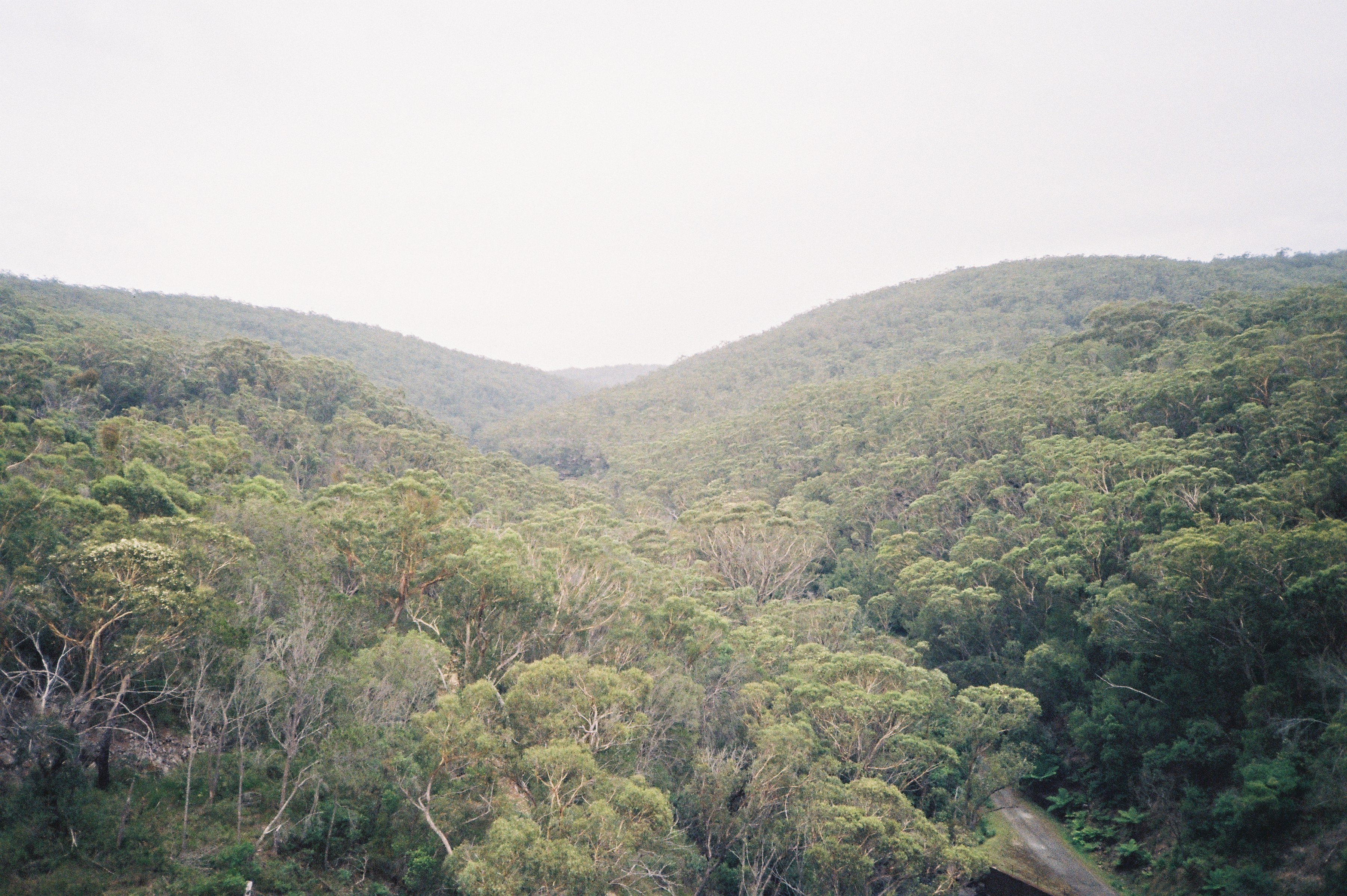 Film 000020