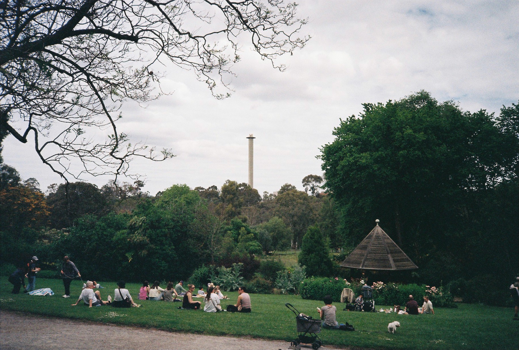 Film 000023 (1)