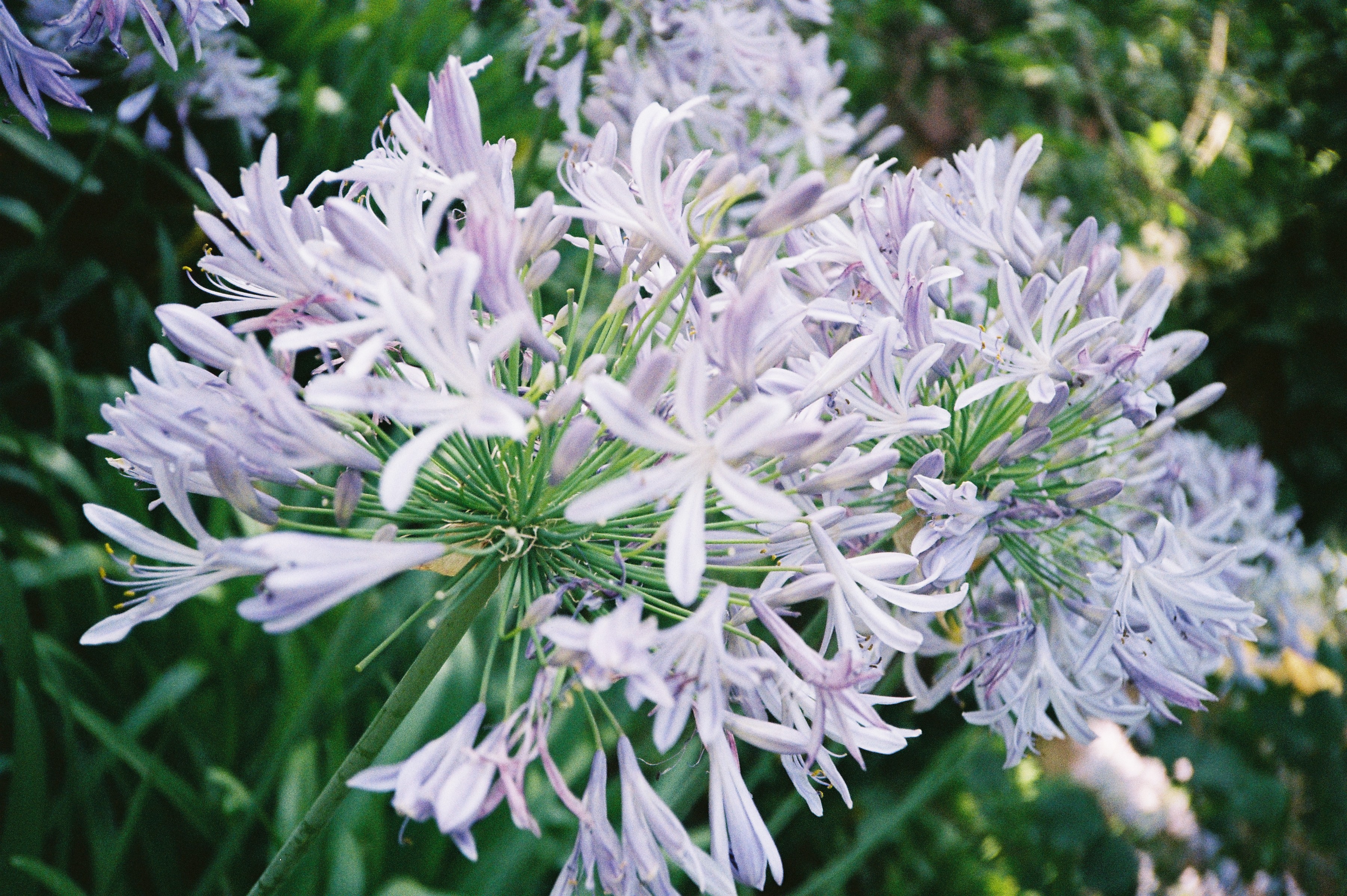 Film 000023 (2)
