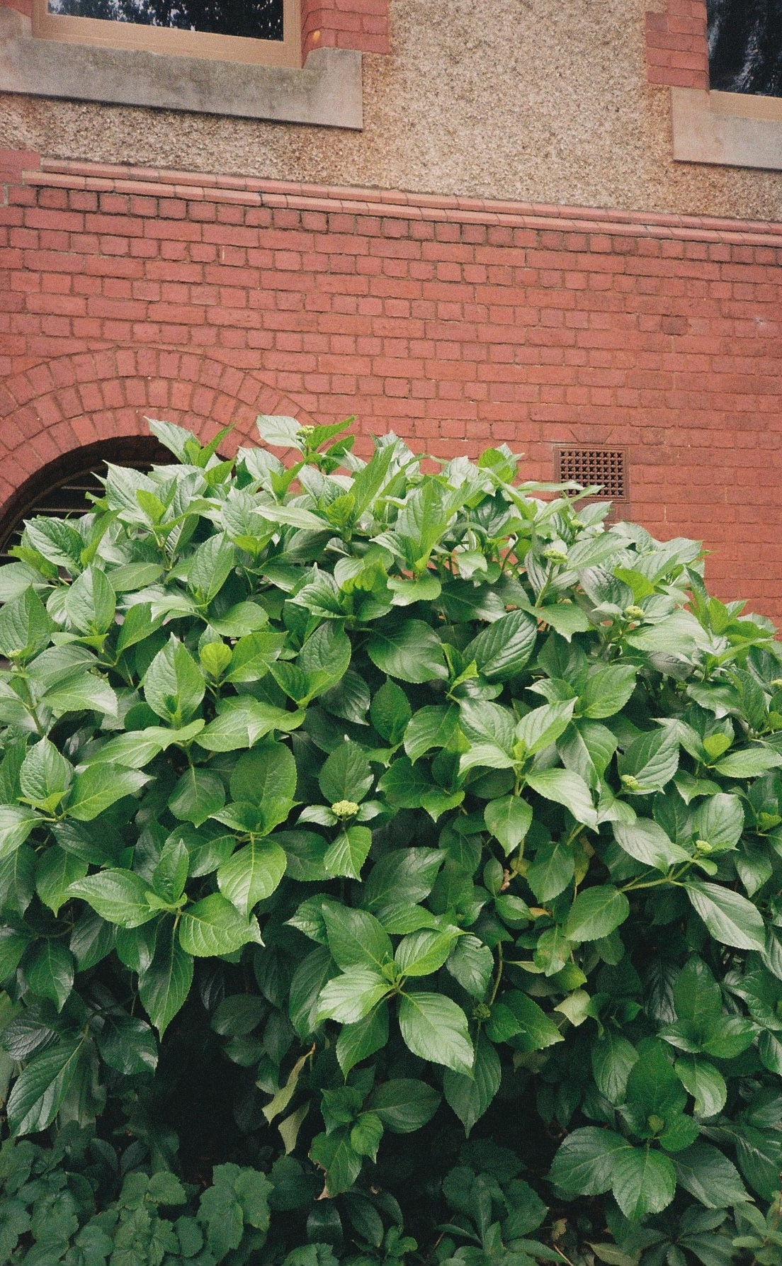 Film 000024