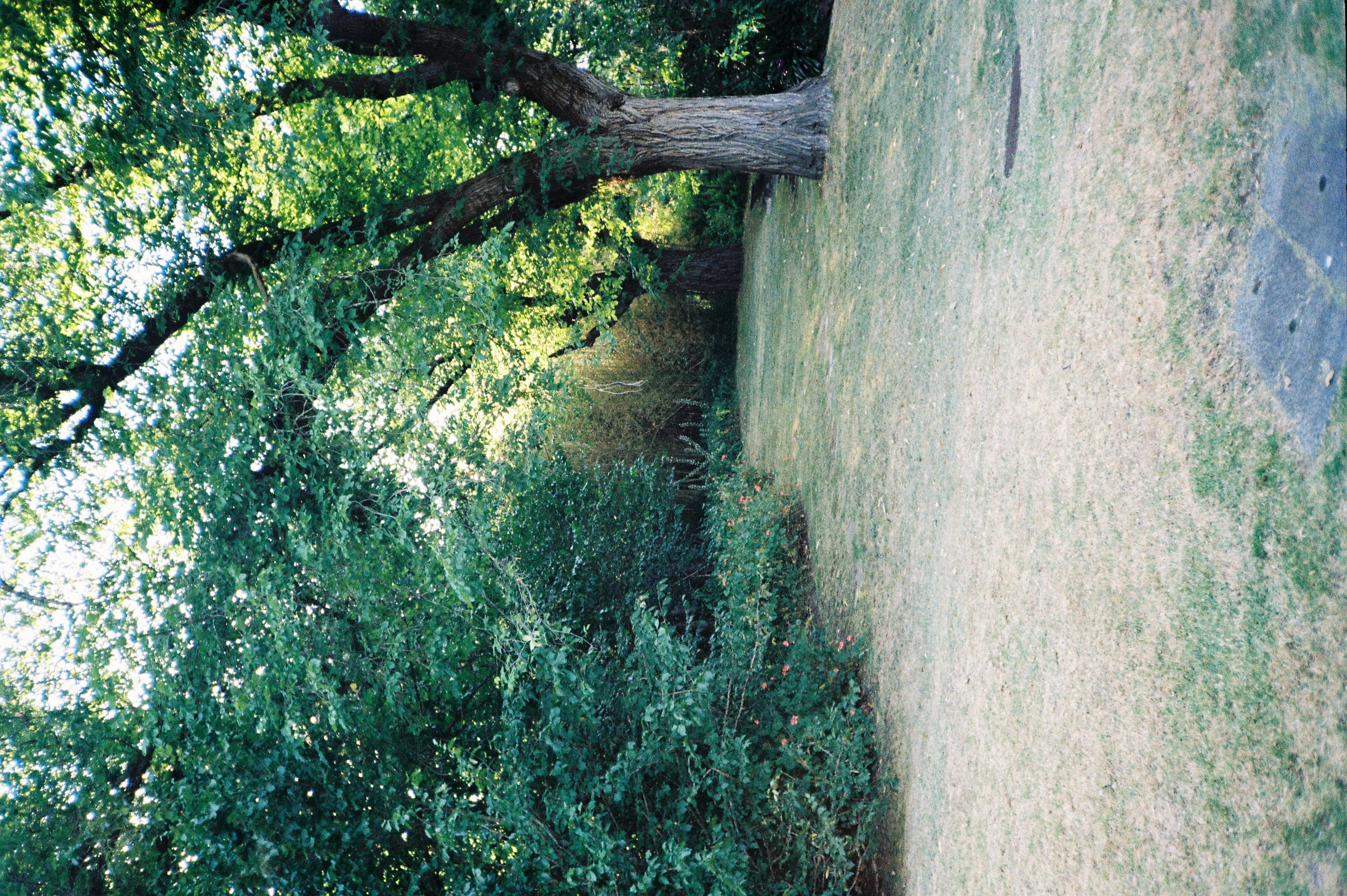 Film 000026 (1)