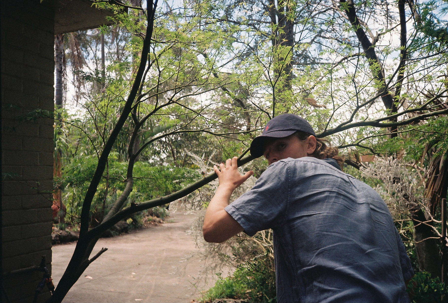 Film 000028 (1)