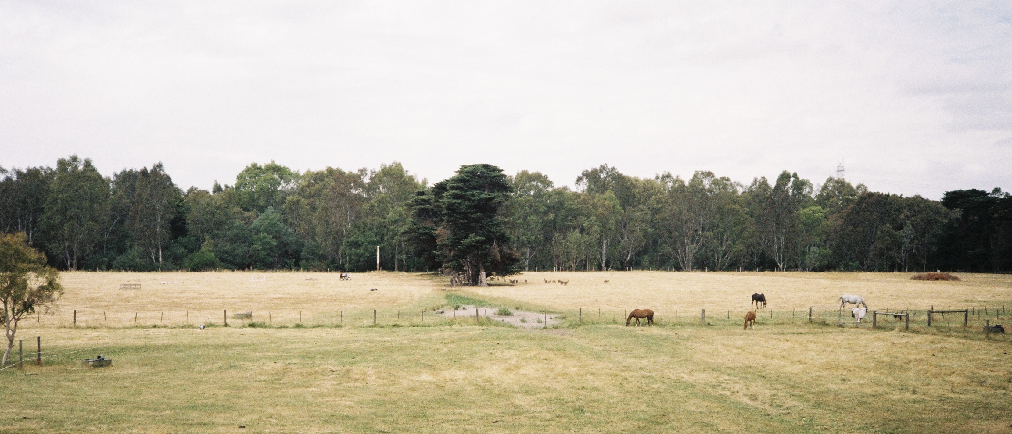 Film 000028
