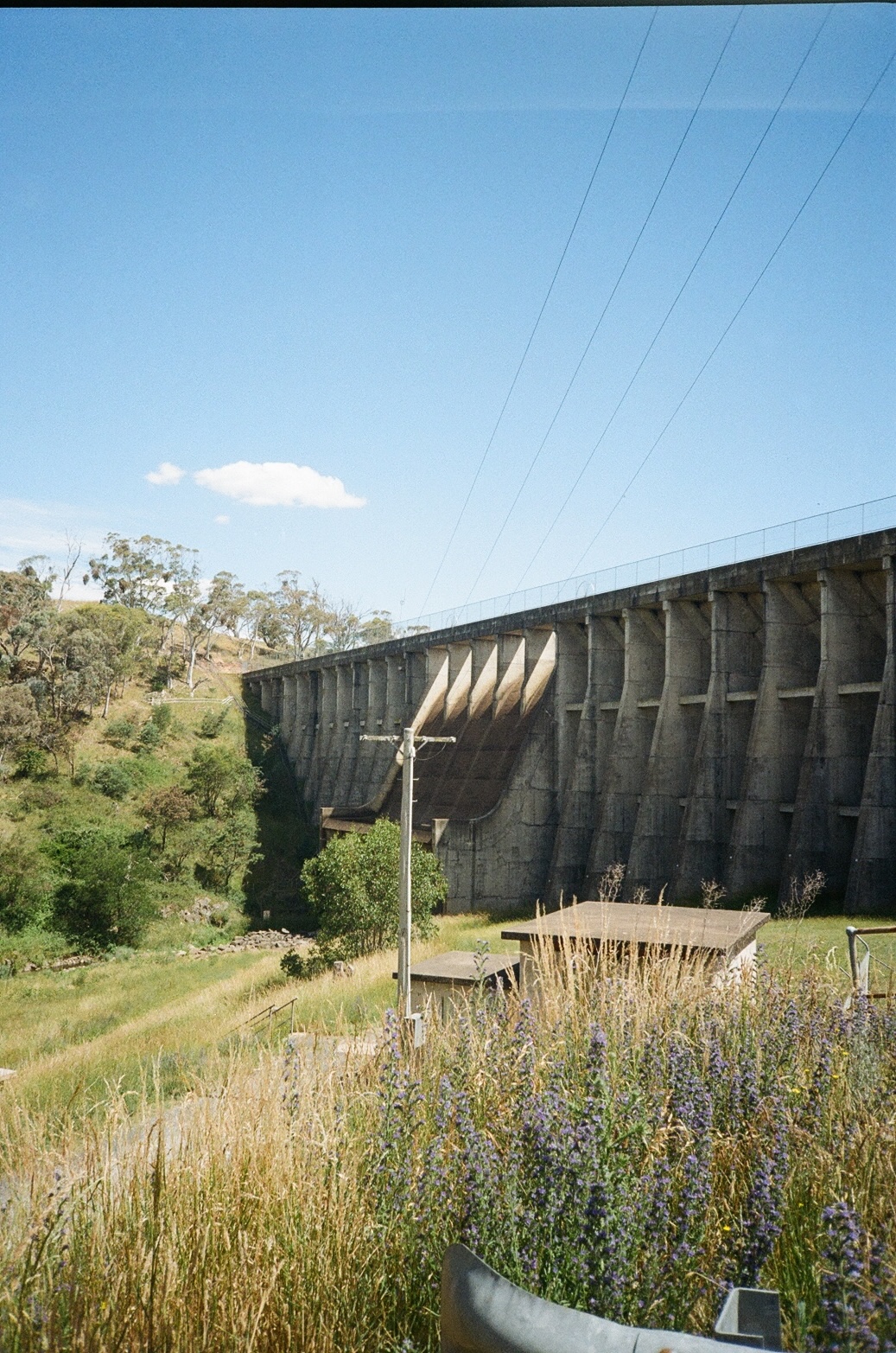 Film 100050720008