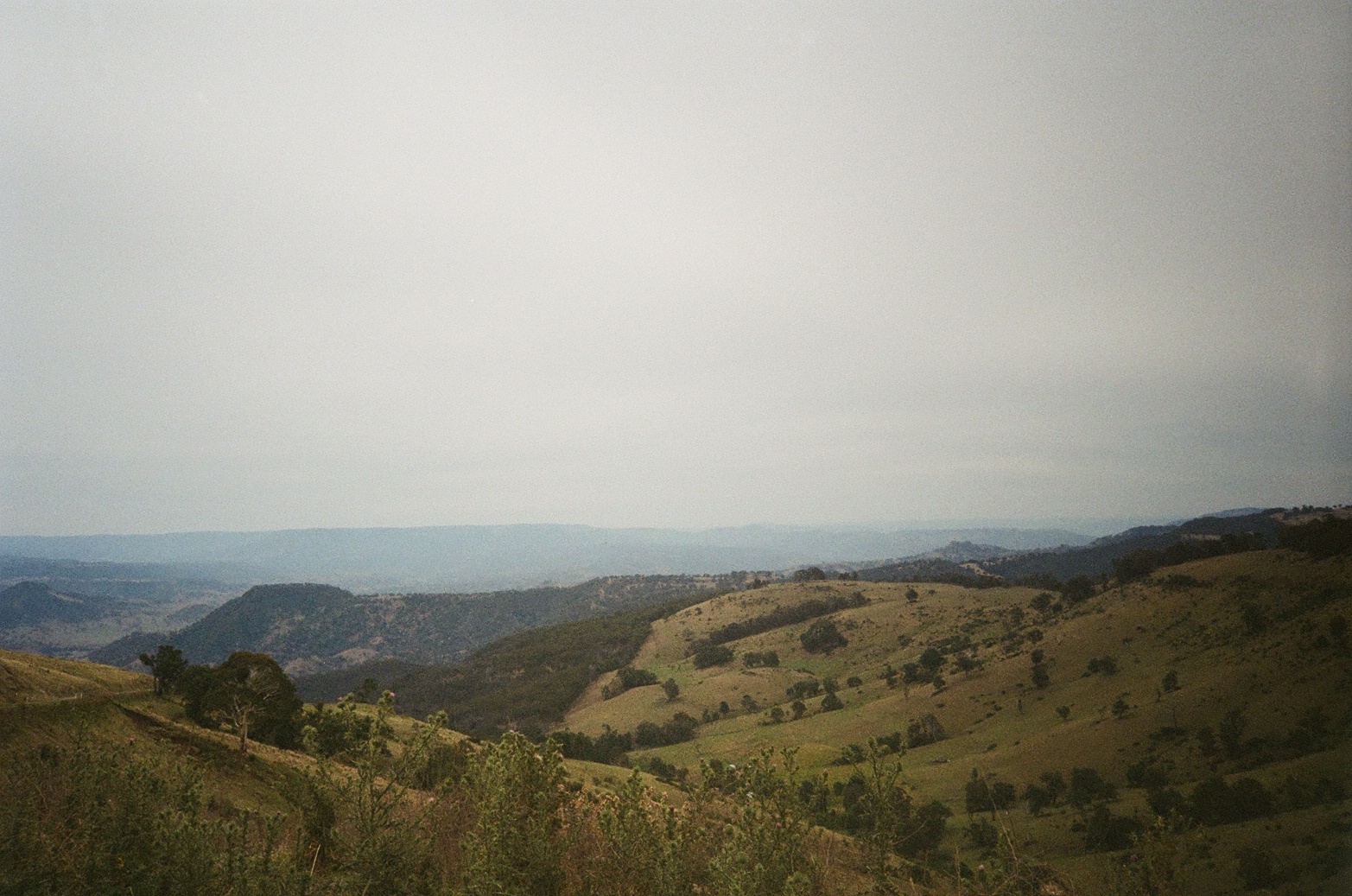 Film 100050720018