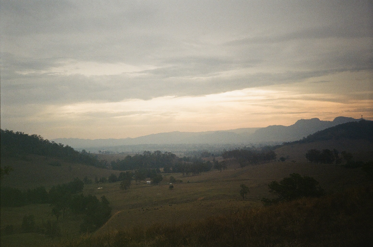 Film 100050720019