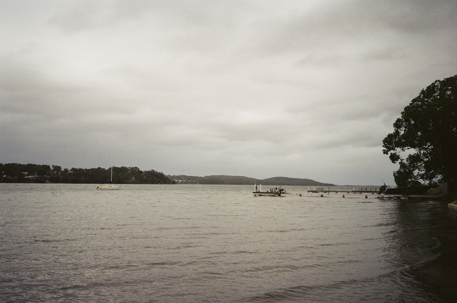 Film 100050720028