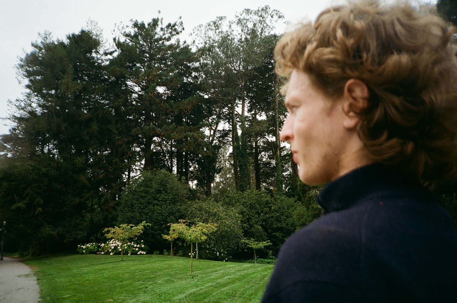 Film 100063220011