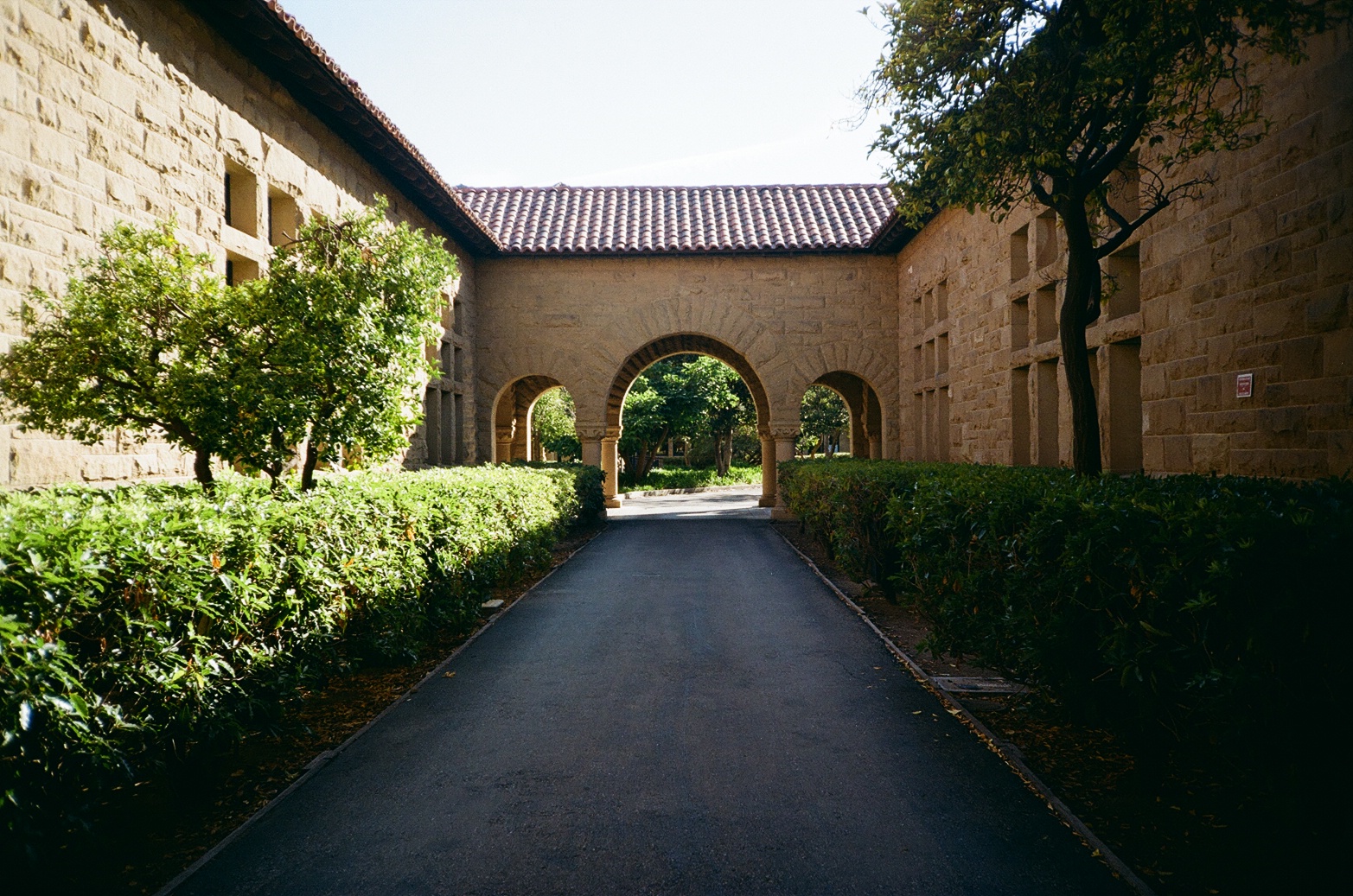 Film 100063220018