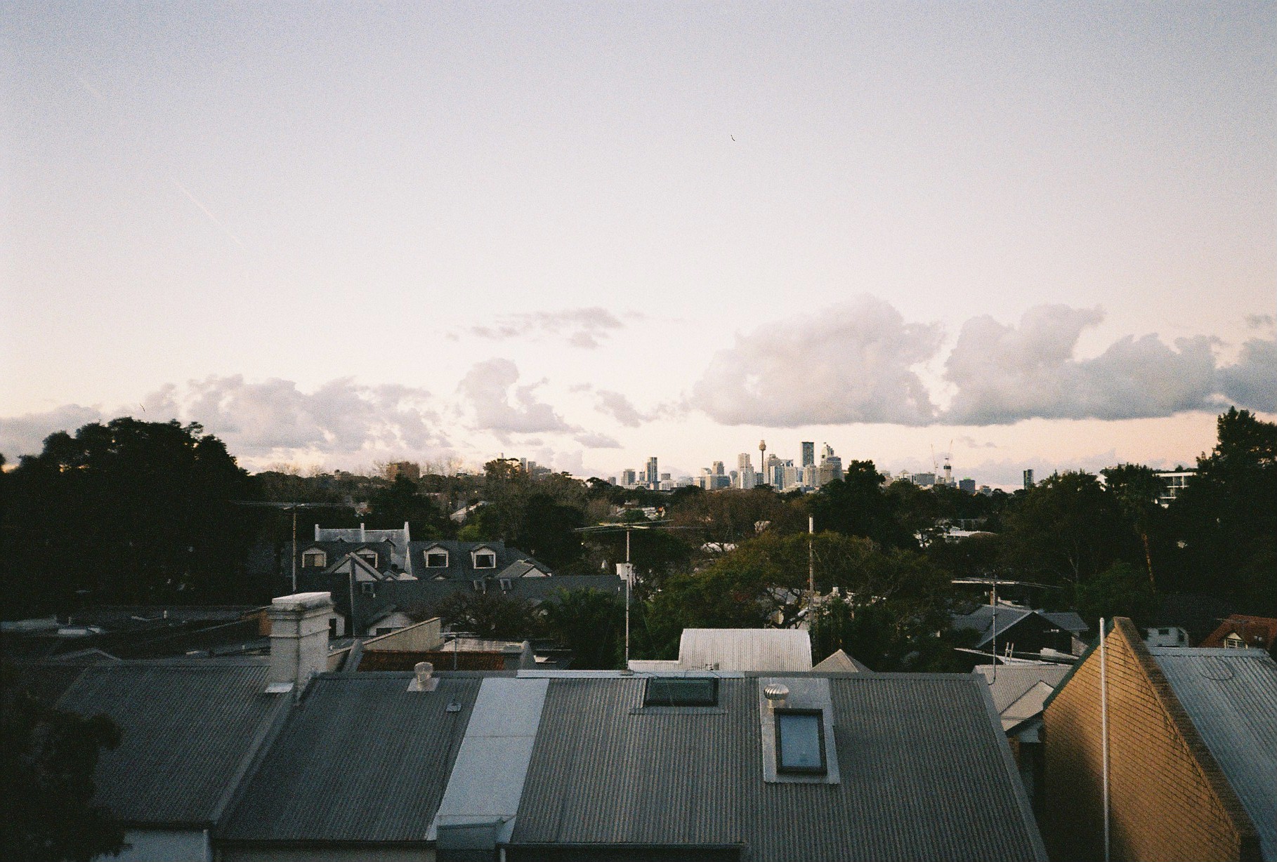 Sydney 8