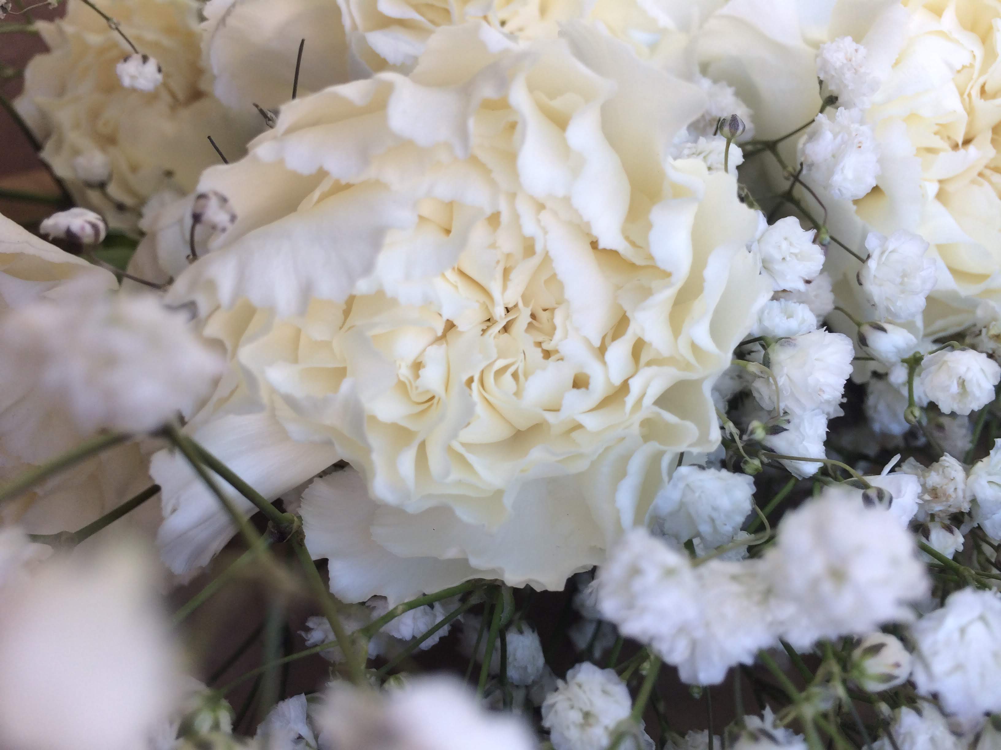 Flowers 1