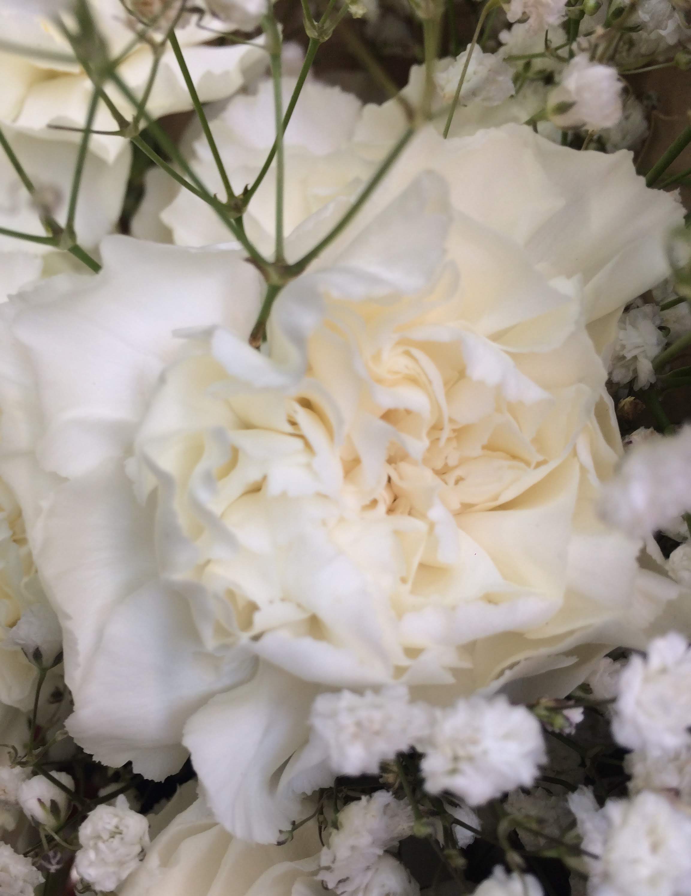Flowers 3