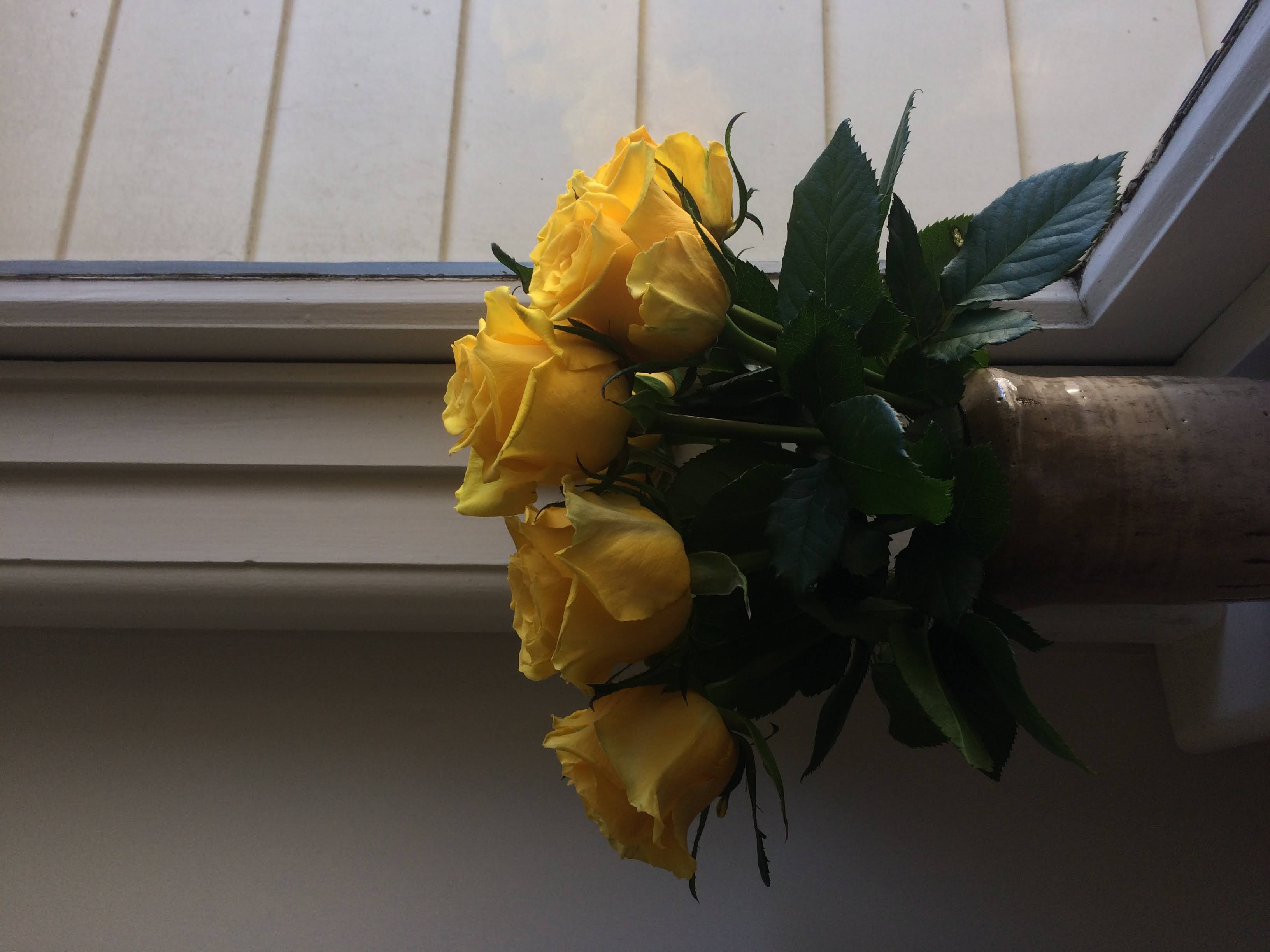 Flowers 6
