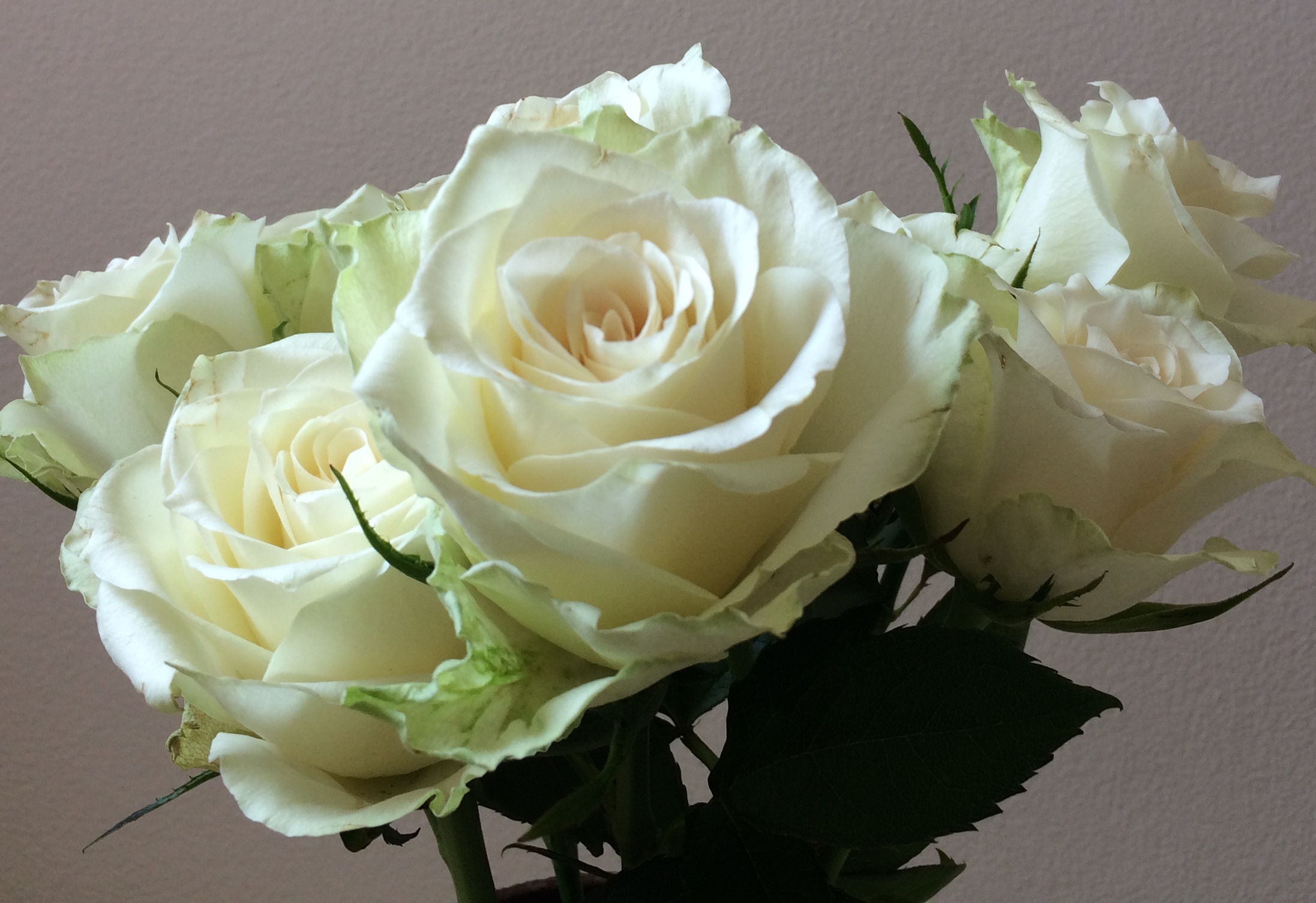 Flowers 9
