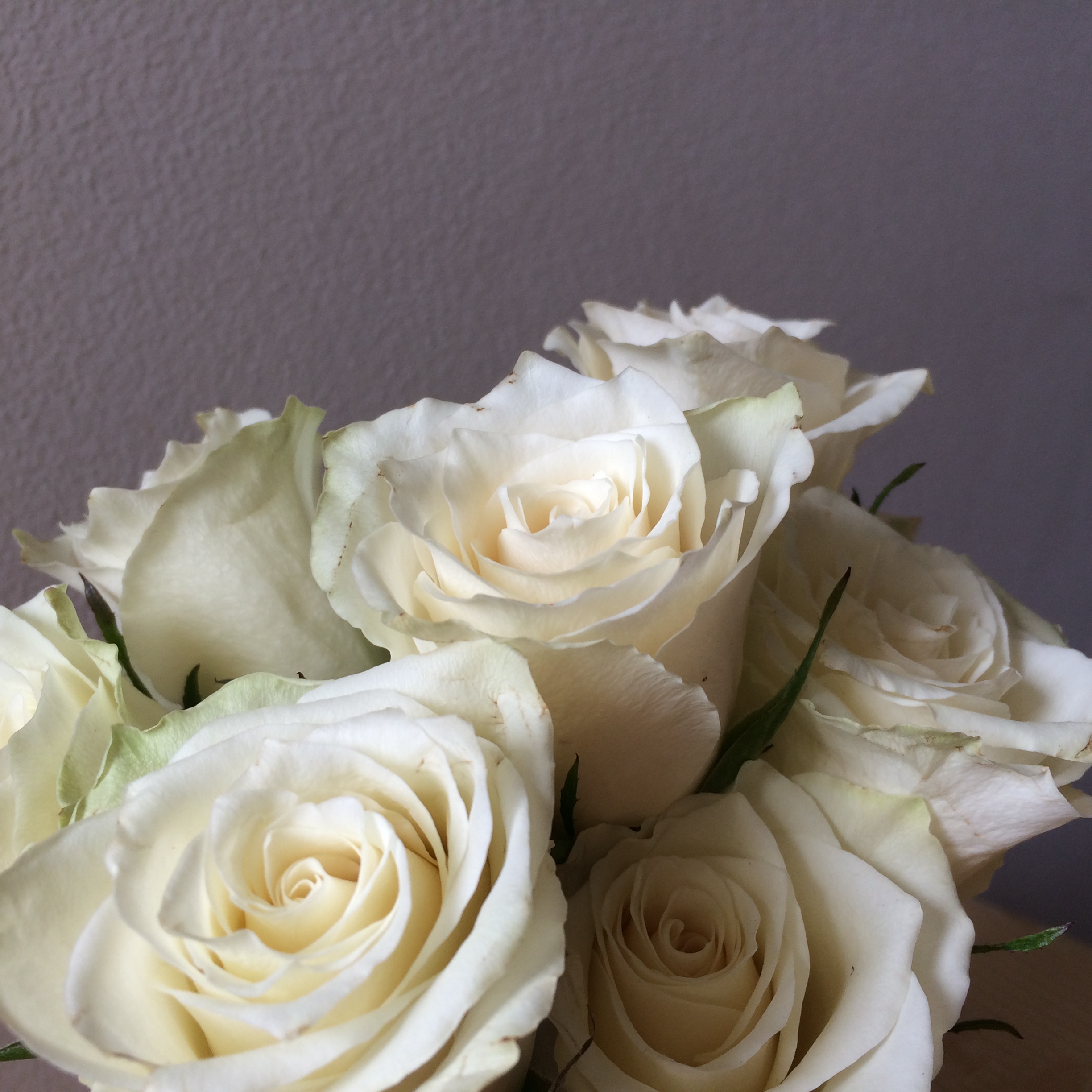 Flowers 11