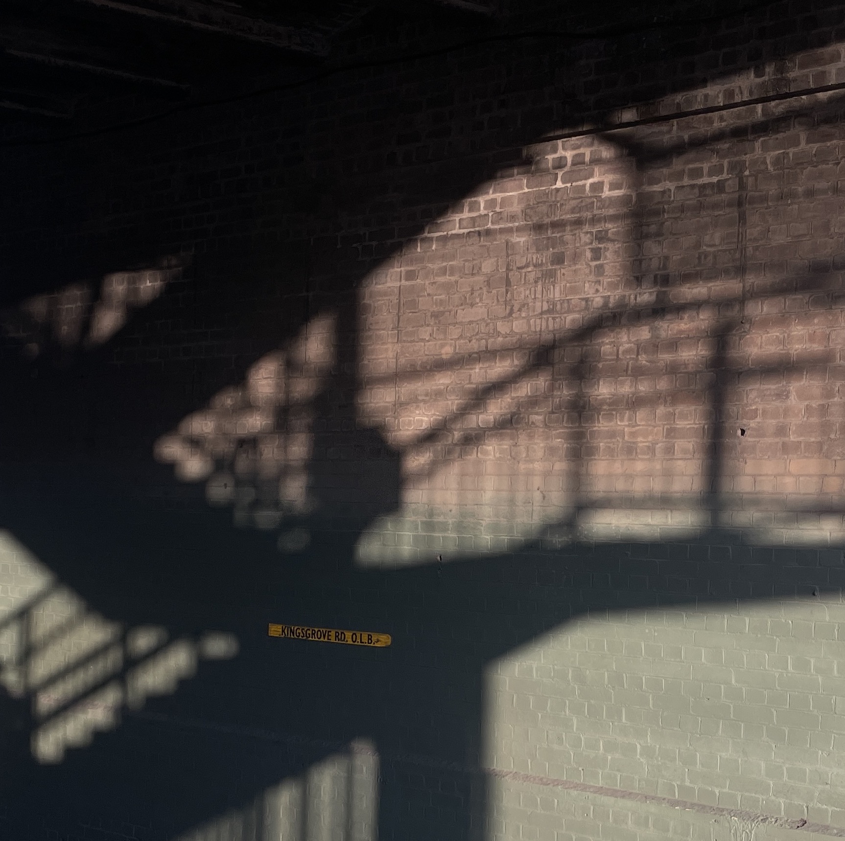 Light
