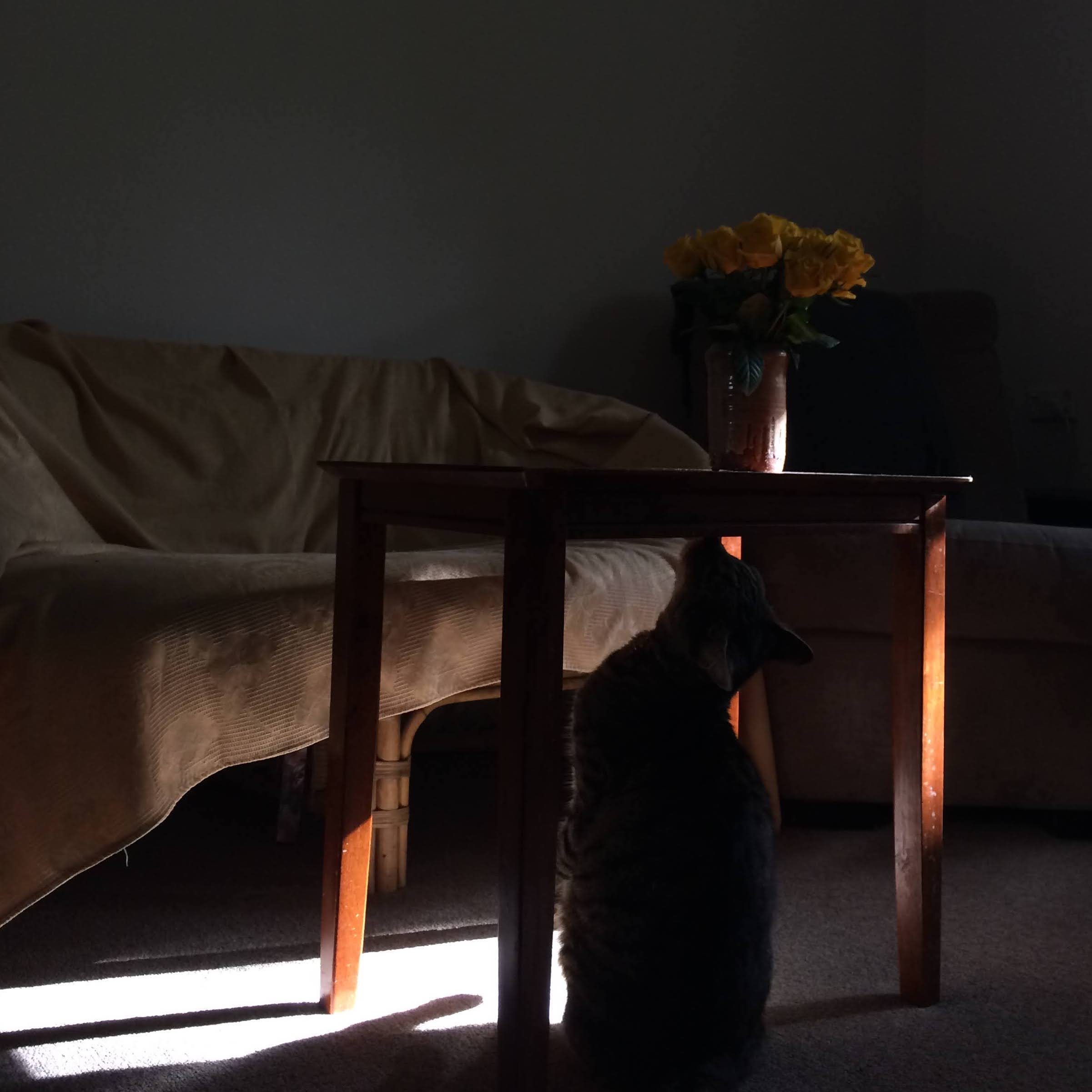 Light