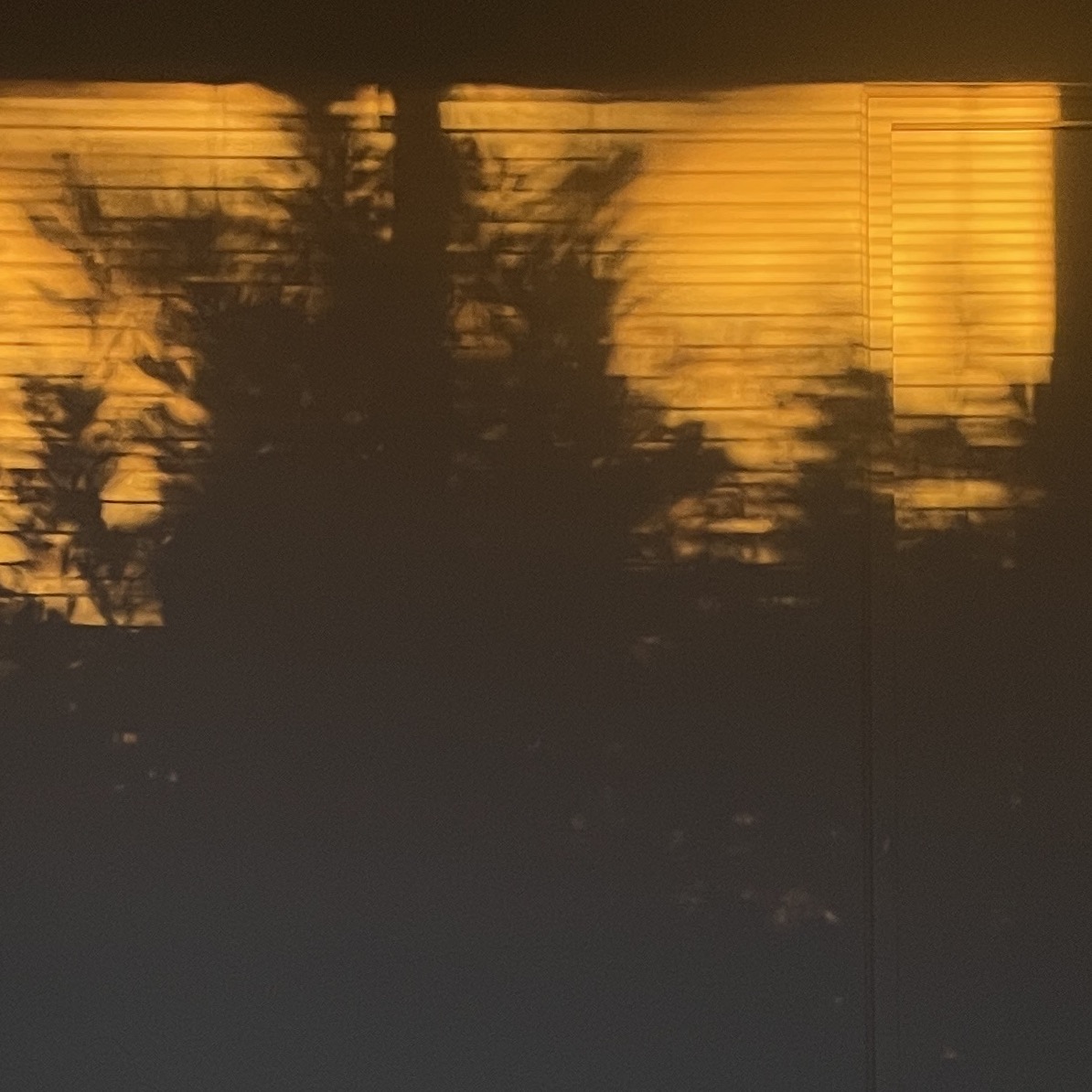Light