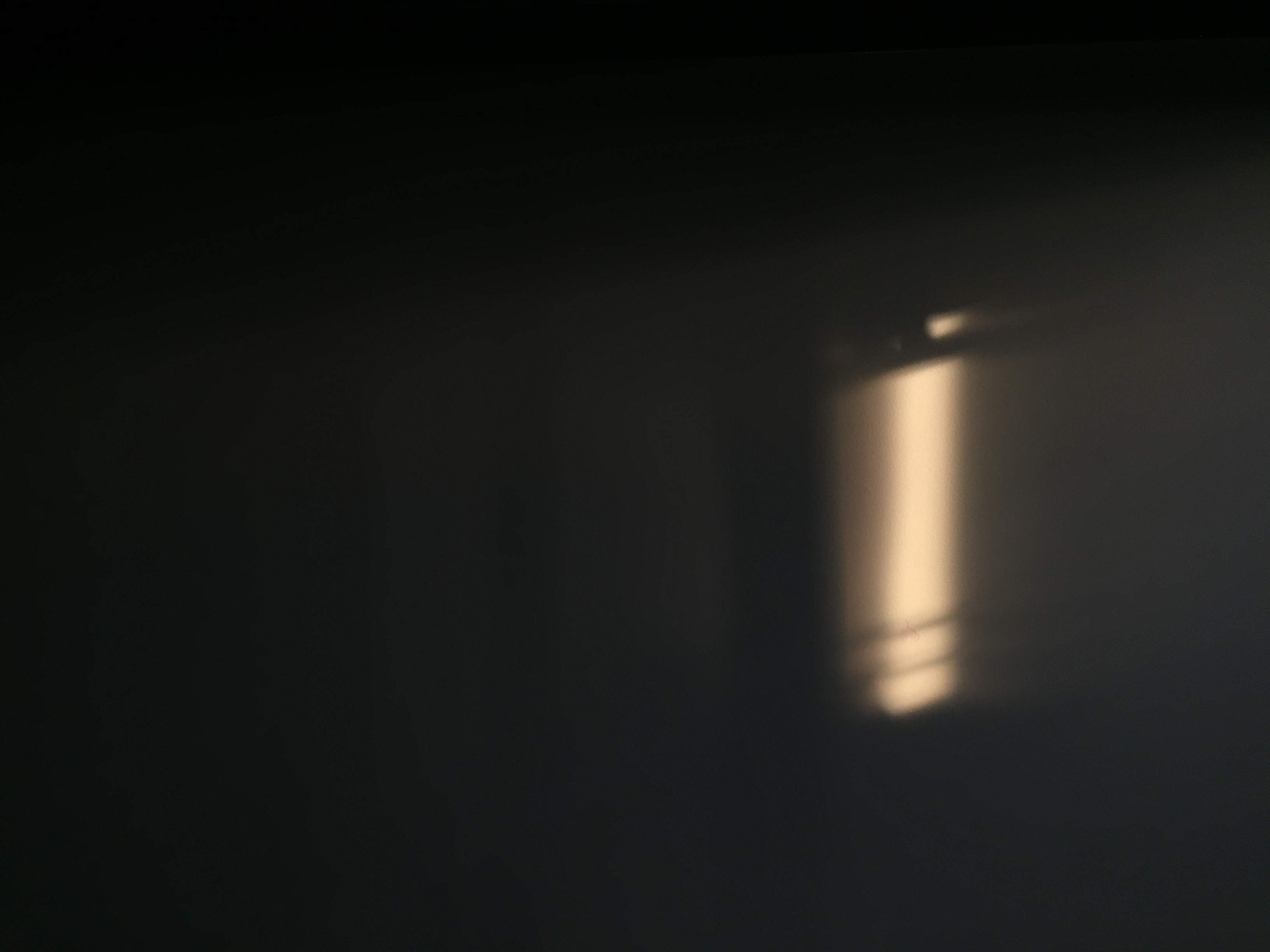 Light