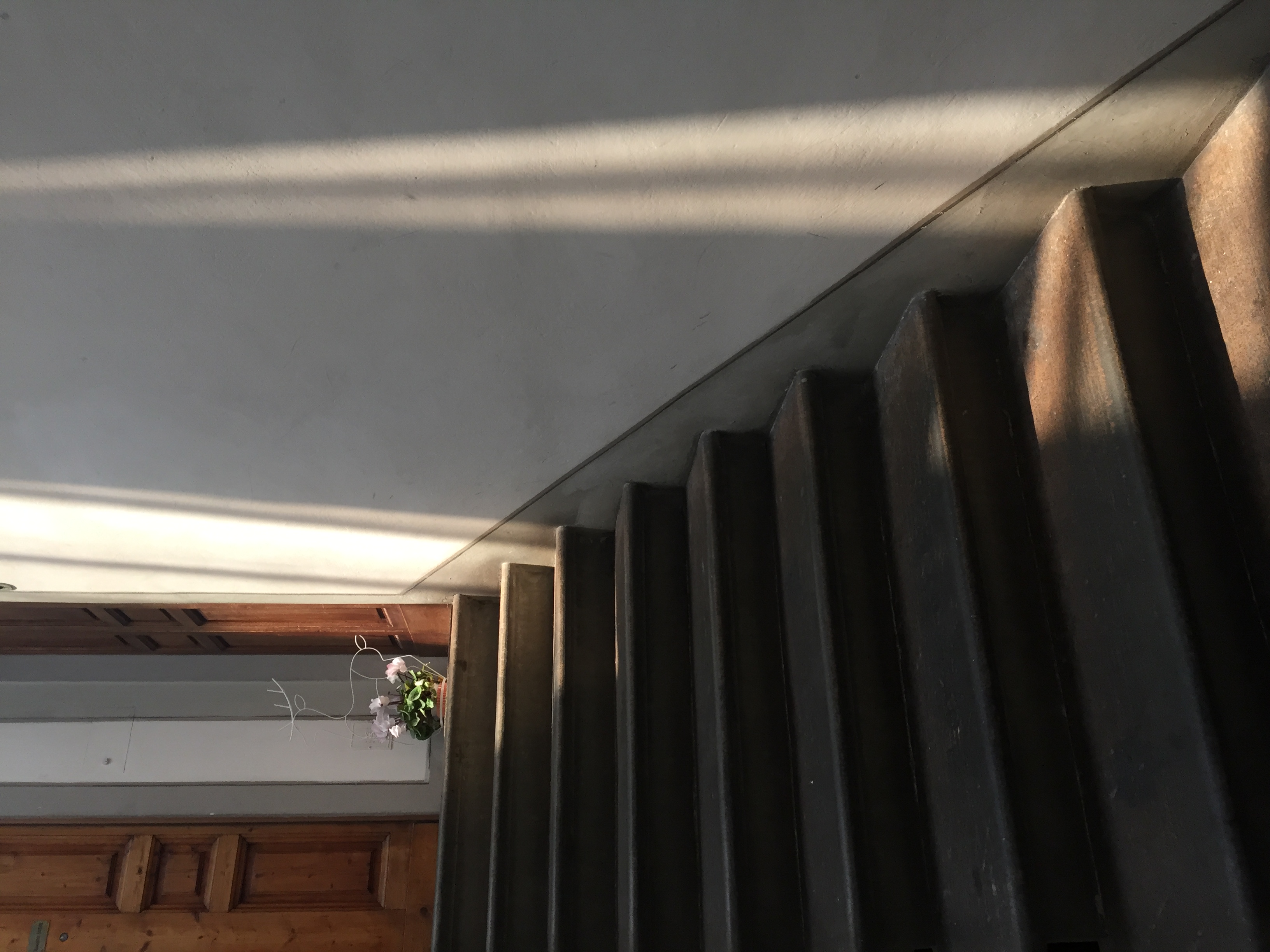 Light