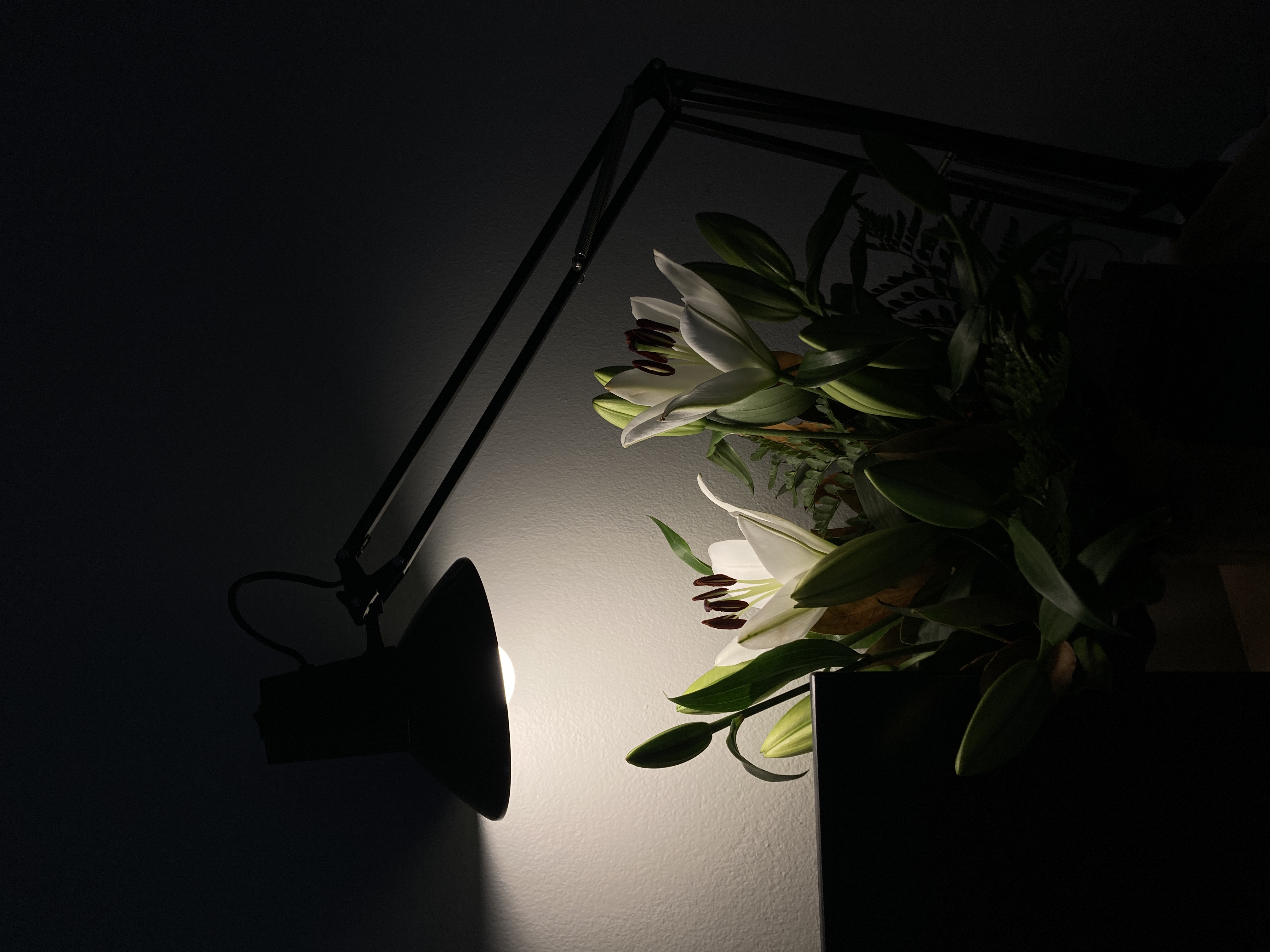 Light