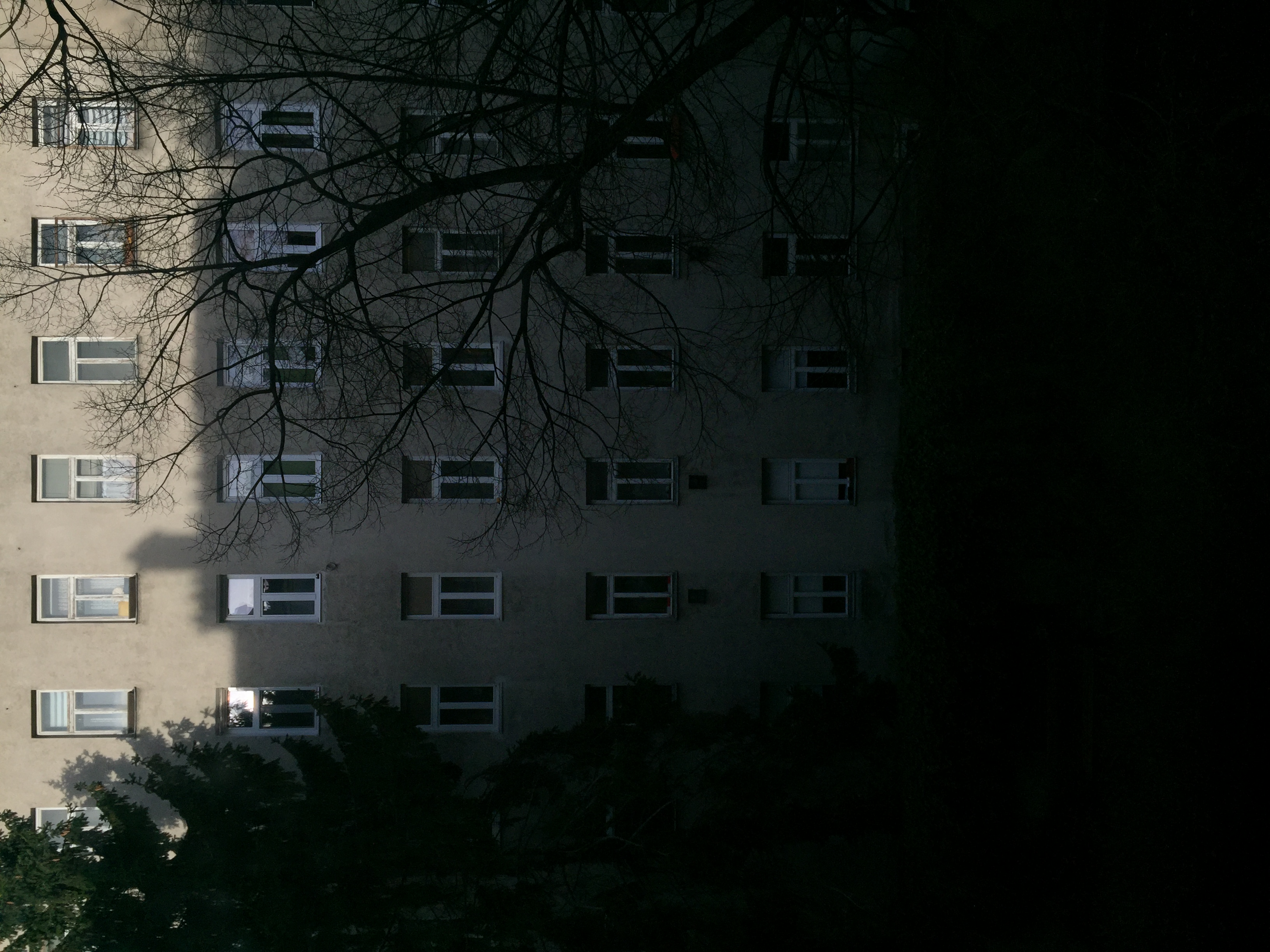 Light