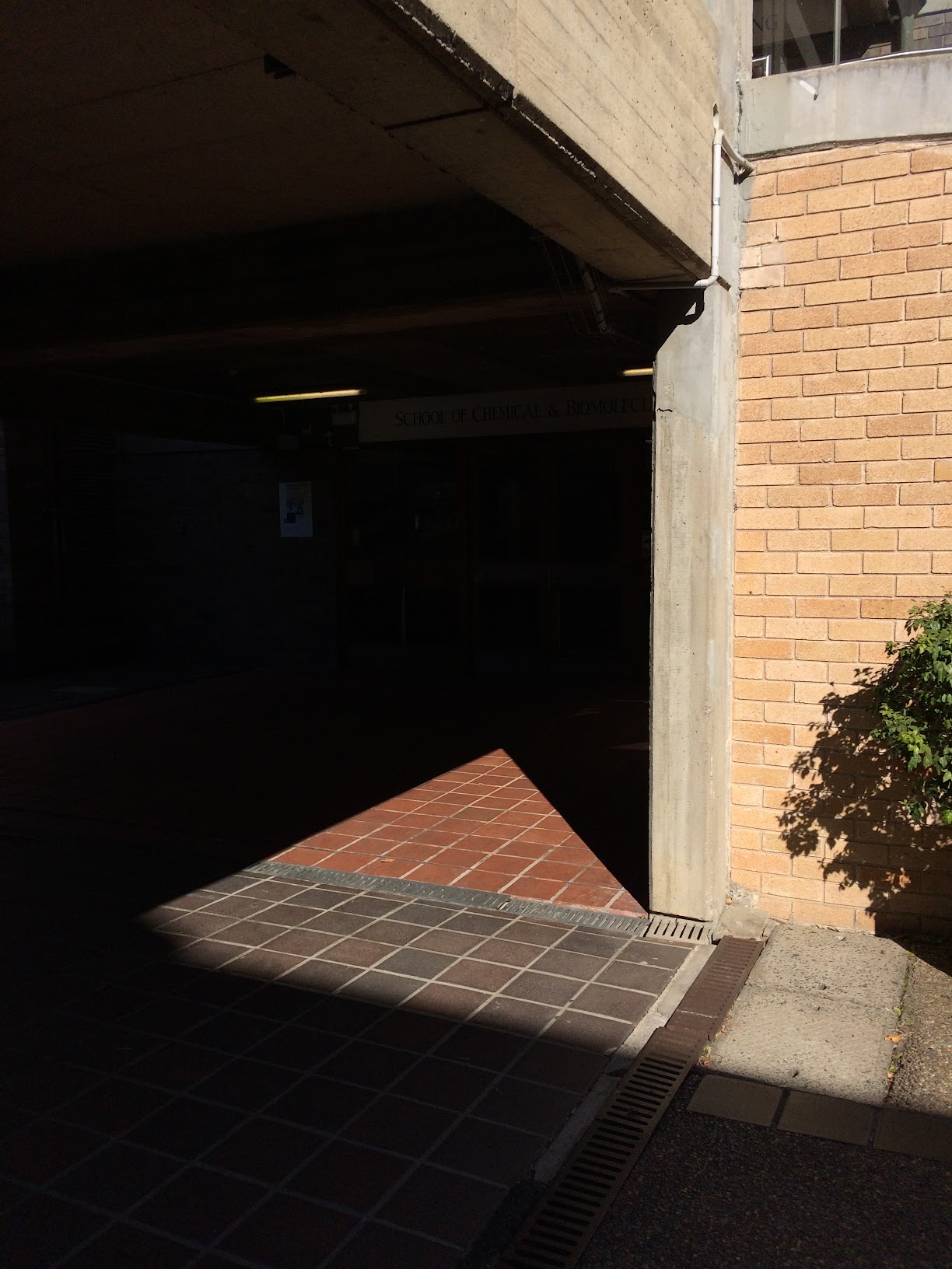 Shadows 23