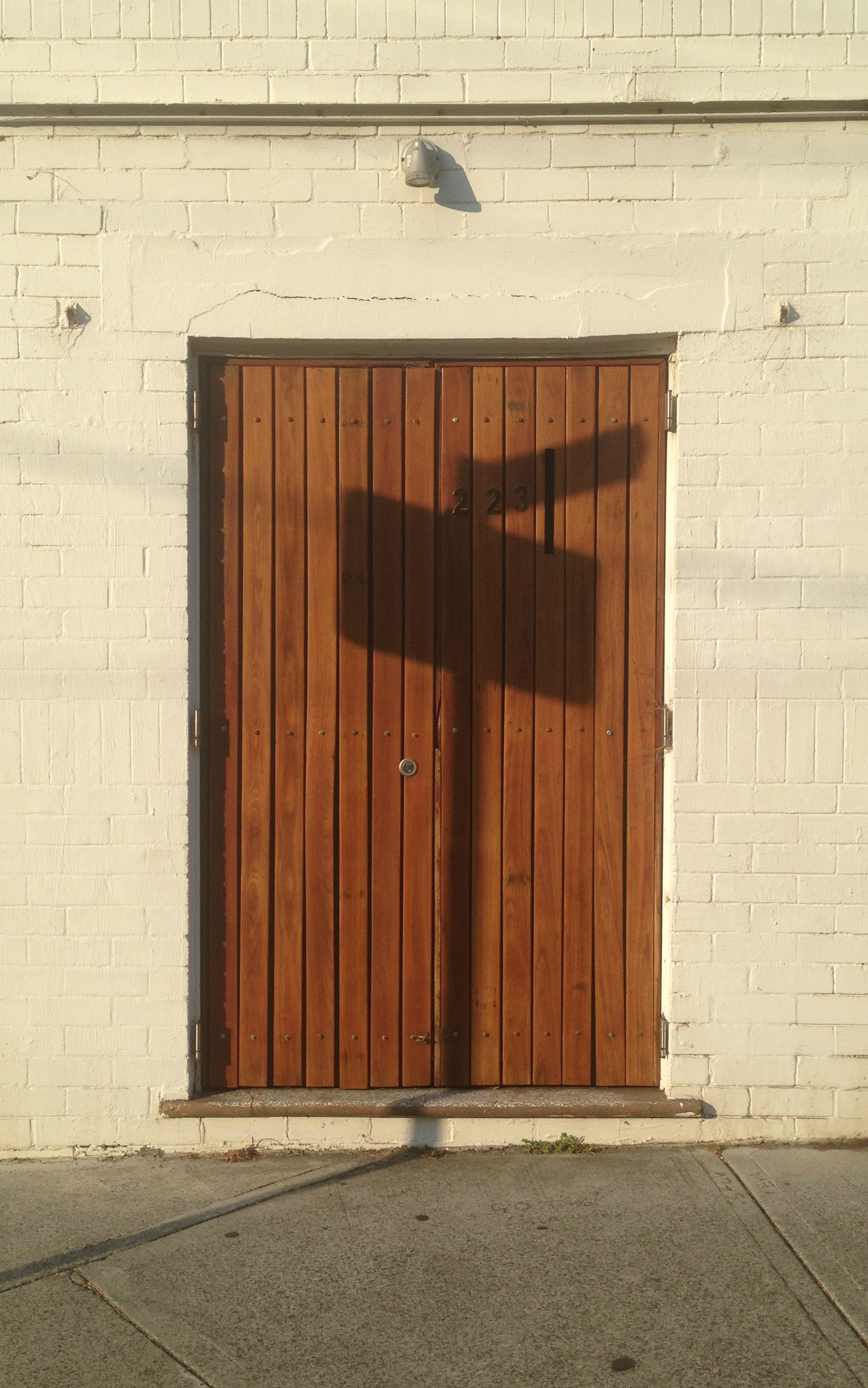 Shadows 6