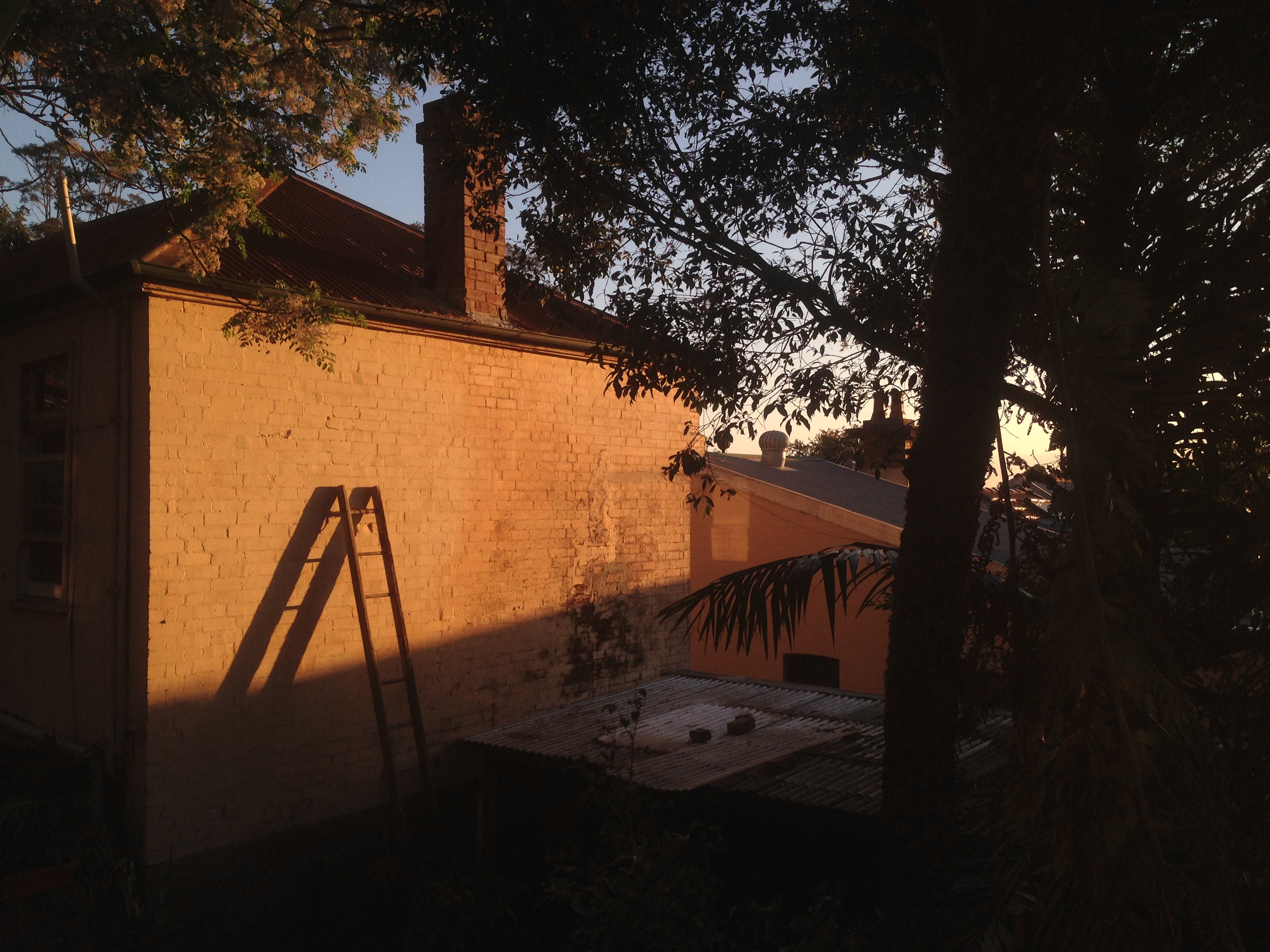 Shadows 8