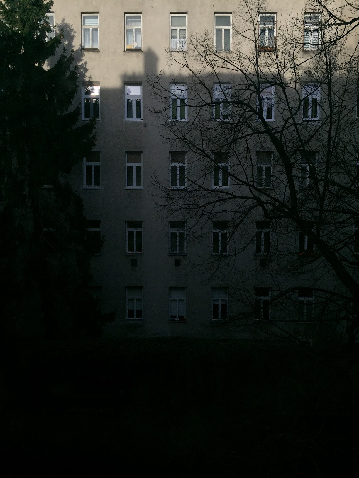 Shadows 46