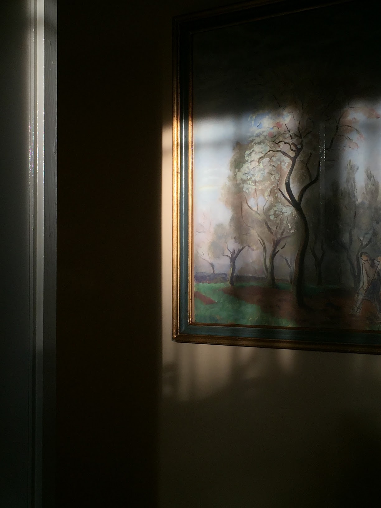 Shadows 52