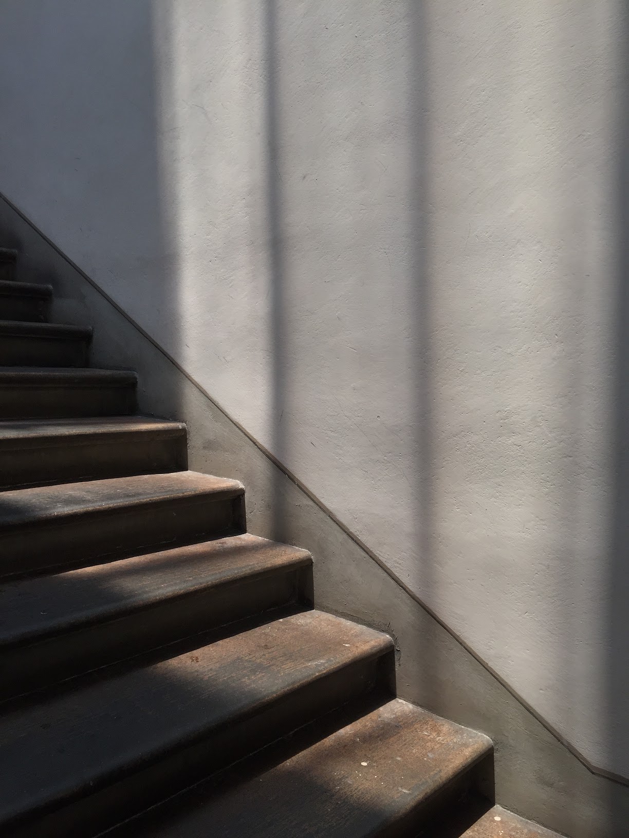 Shadows 54