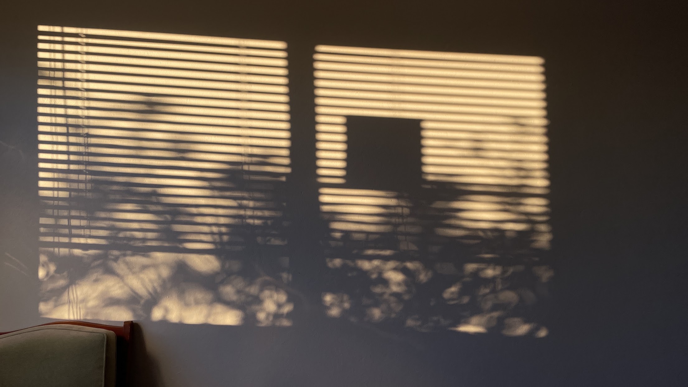 Shadows 109